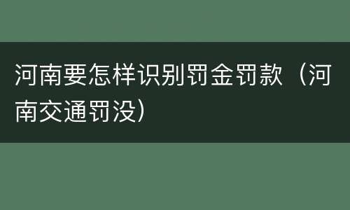 河南要怎样识别罚金罚款（河南交通罚没）