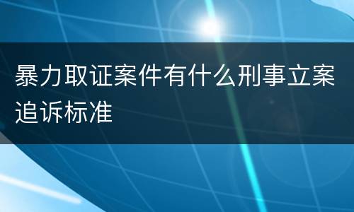 暴力取证案件有什么刑事立案追诉标准