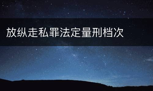 放纵走私罪法定量刑档次