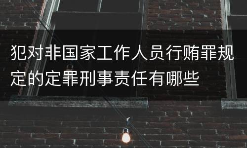犯对非国家工作人员行贿罪规定的定罪刑事责任有哪些