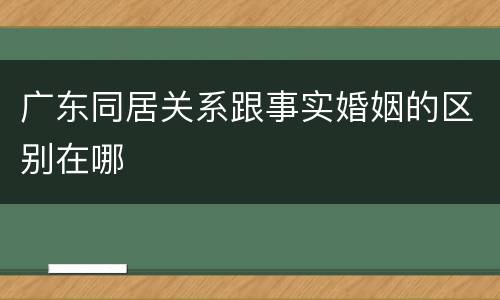 广东同居关系跟事实婚姻的区别在哪