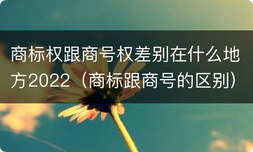 商标权跟商号权差别在什么地方2022（商标跟商号的区别）
