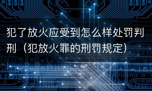 犯了放火应受到怎么样处罚判刑（犯放火罪的刑罚规定）