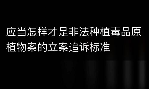 应当怎样才是非法种植毒品原植物案的立案追诉标准