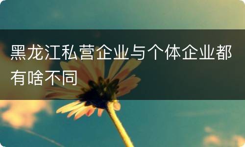 黑龙江私营企业与个体企业都有啥不同