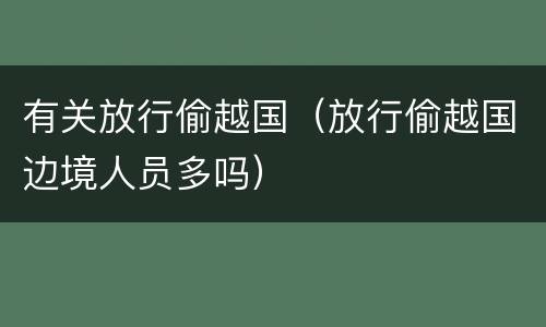 有关放行偷越国（放行偷越国边境人员多吗）