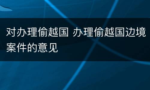 对办理偷越国 办理偷越国边境案件的意见
