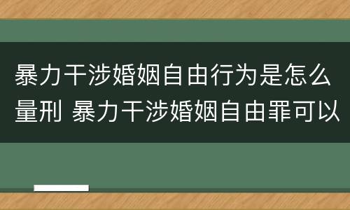暴力干涉婚姻自由行为是怎么量刑 暴力干涉婚姻自由罪可以刑事和解吗