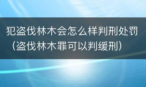 犯盗伐林木会怎么样判刑处罚（盗伐林木罪可以判缓刑）
