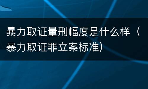 暴力取证量刑幅度是什么样（暴力取证罪立案标准）