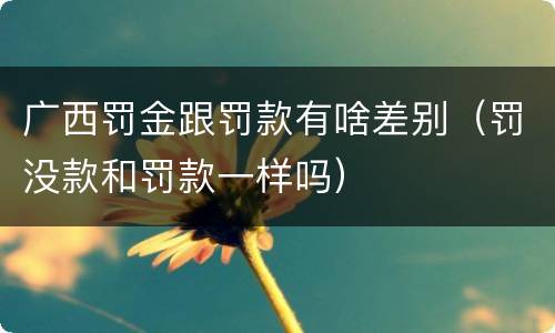 广西罚金跟罚款有啥差别（罚没款和罚款一样吗）