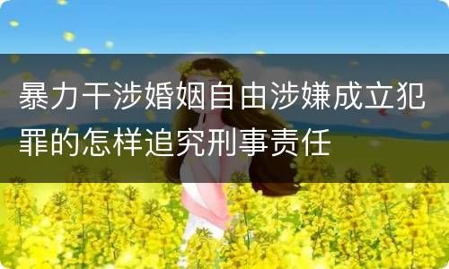 暴力干涉婚姻自由涉嫌成立犯罪的怎样追究刑事责任