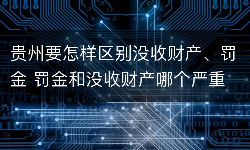 贵州要怎样区别没收财产、罚金 罚金和没收财产哪个严重