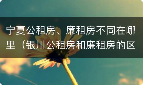 宁夏公租房、廉租房不同在哪里（银川公租房和廉租房的区别）