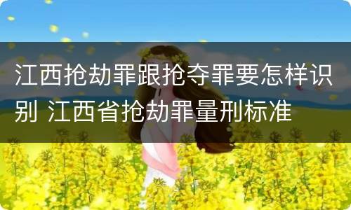 江西抢劫罪跟抢夺罪要怎样识别 江西省抢劫罪量刑标准