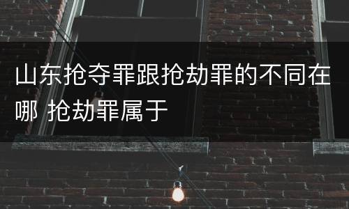 山东抢夺罪跟抢劫罪的不同在哪 抢劫罪属于