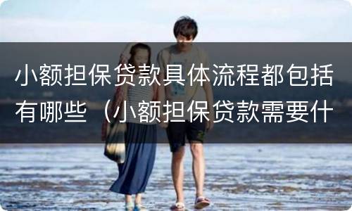 小额担保贷款具体流程都包括有哪些（小额担保贷款需要什么手续）