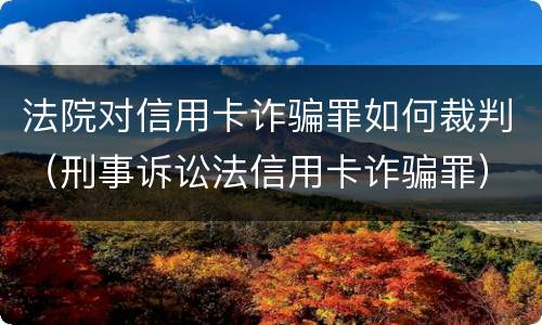 法院对信用卡诈骗罪如何裁判（刑事诉讼法信用卡诈骗罪）