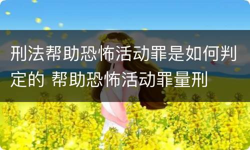 刑法帮助恐怖活动罪是如何判定的 帮助恐怖活动罪量刑