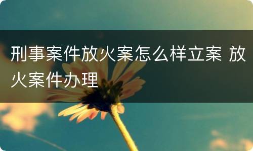 刑事案件放火案怎么样立案 放火案件办理