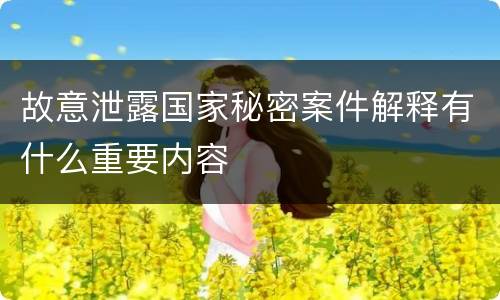 故意泄露国家秘密案件解释有什么重要内容
