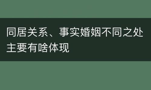 同居关系、事实婚姻不同之处主要有啥体现