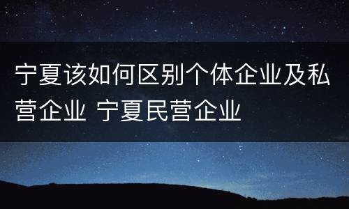 宁夏该如何区别个体企业及私营企业 宁夏民营企业