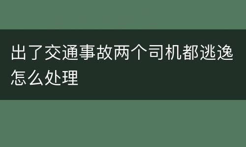 出了交通事故两个司机都逃逸怎么处理