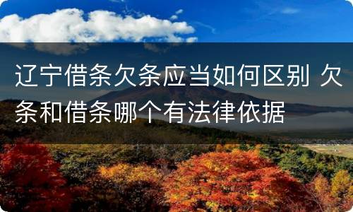 辽宁借条欠条应当如何区别 欠条和借条哪个有法律依据