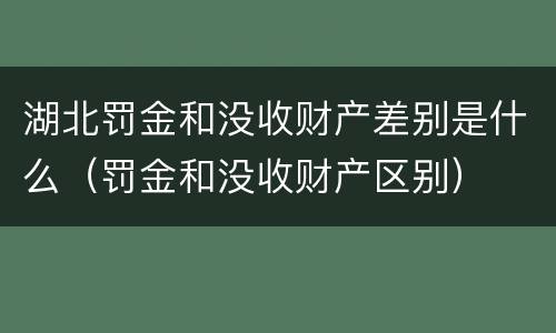 湖北罚金和没收财产差别是什么（罚金和没收财产区别）