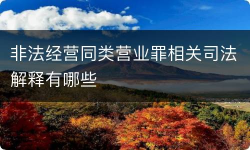 非法经营同类营业罪相关司法解释有哪些