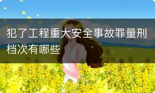 犯了工程重大安全事故罪量刑档次有哪些