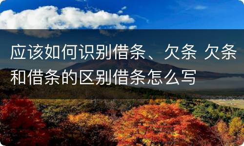 应该如何识别借条、欠条 欠条和借条的区别借条怎么写