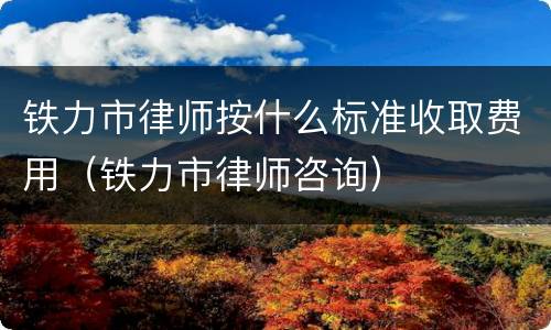 铁力市律师按什么标准收取费用（铁力市律师咨询）