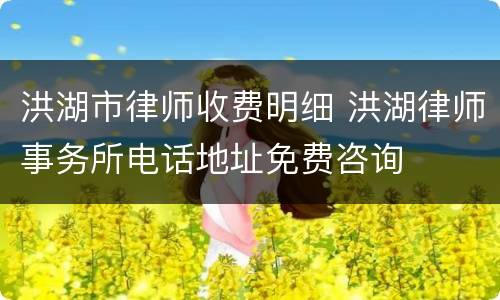 洪湖市律师收费明细 洪湖律师事务所电话地址免费咨询