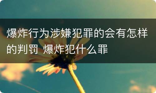爆炸行为涉嫌犯罪的会有怎样的判罚 爆炸犯什么罪
