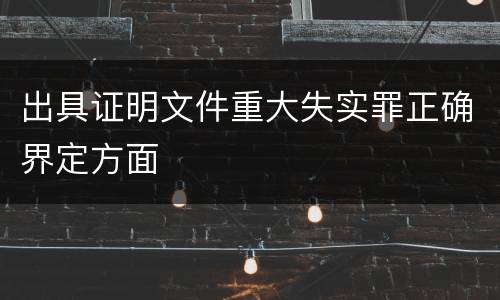 出具证明文件重大失实罪正确界定方面