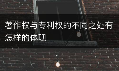 著作权与专利权的不同之处有怎样的体现