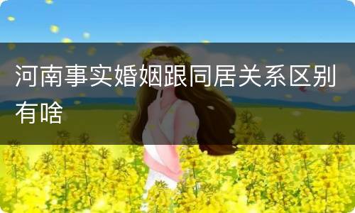 河南事实婚姻跟同居关系区别有啥