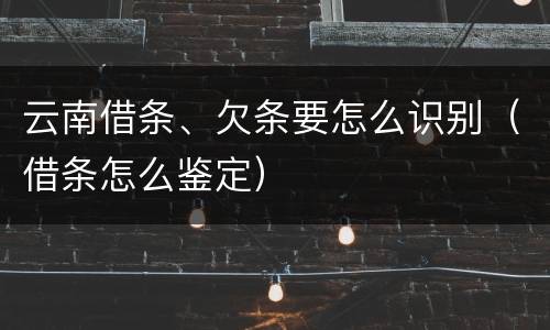 云南借条、欠条要怎么识别（借条怎么鉴定）