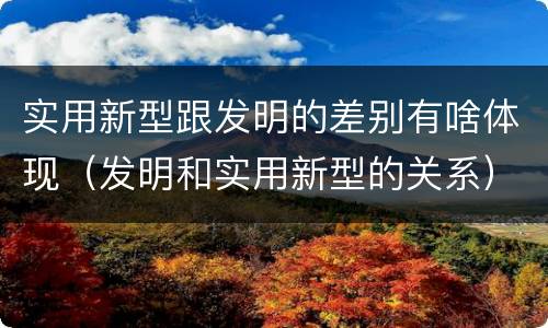 实用新型跟发明的差别有啥体现（发明和实用新型的关系）