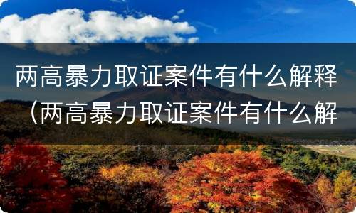 两高暴力取证案件有什么解释（两高暴力取证案件有什么解释吗）