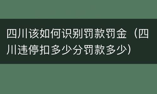 四川该如何识别罚款罚金（四川违停扣多少分罚款多少）