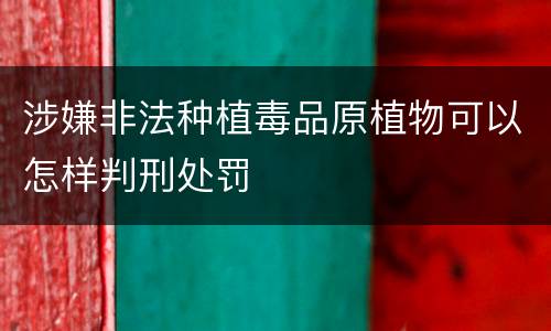 涉嫌非法种植毒品原植物可以怎样判刑处罚