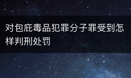 对包庇毒品犯罪分子罪受到怎样判刑处罚