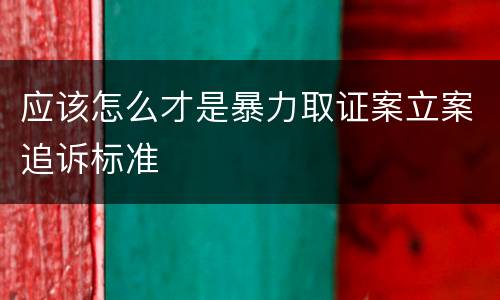 应该怎么才是暴力取证案立案追诉标准