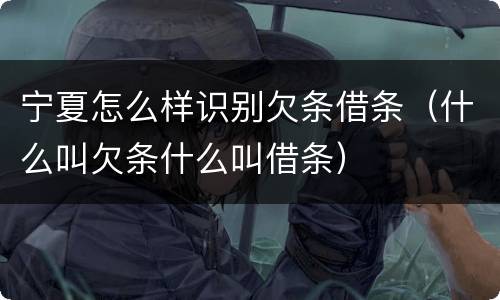 宁夏怎么样识别欠条借条（什么叫欠条什么叫借条）