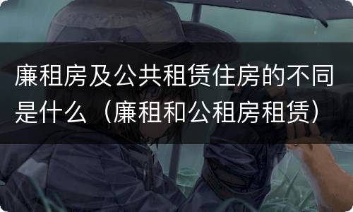 廉租房及公共租赁住房的不同是什么（廉租和公租房租赁）