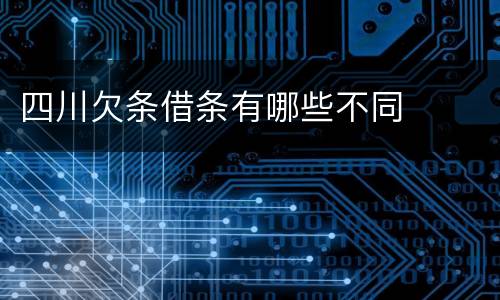 四川欠条借条有哪些不同