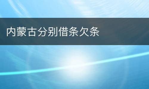 内蒙古分别借条欠条